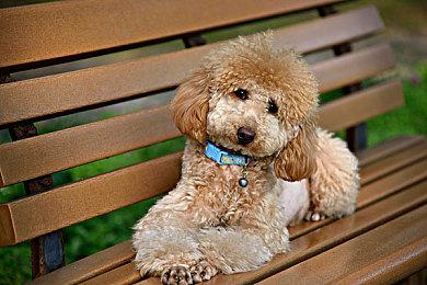 《玻璃楼梯》5月24日登陆主机 复古生存恐怖冒险